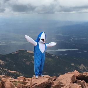 Meet your Posher, Larry